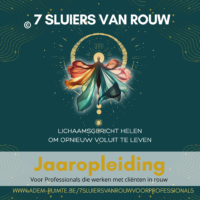 Certificeringstraining 7 Sluiers van Rouw